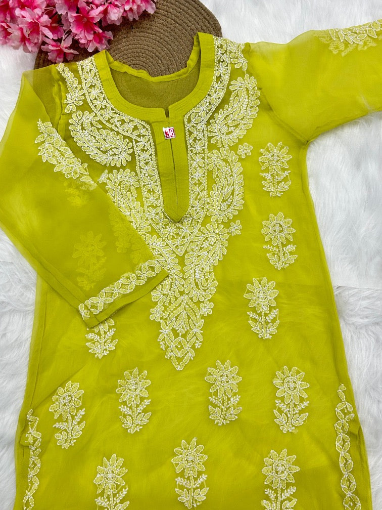 Georgette Chikankari Long Kurti